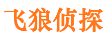 长安市侦探调查公司